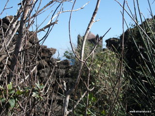 rre del Greco-19-03-2013 14-47-20